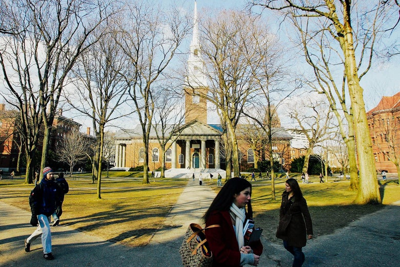 Students at Harvard University walk through the campus.
